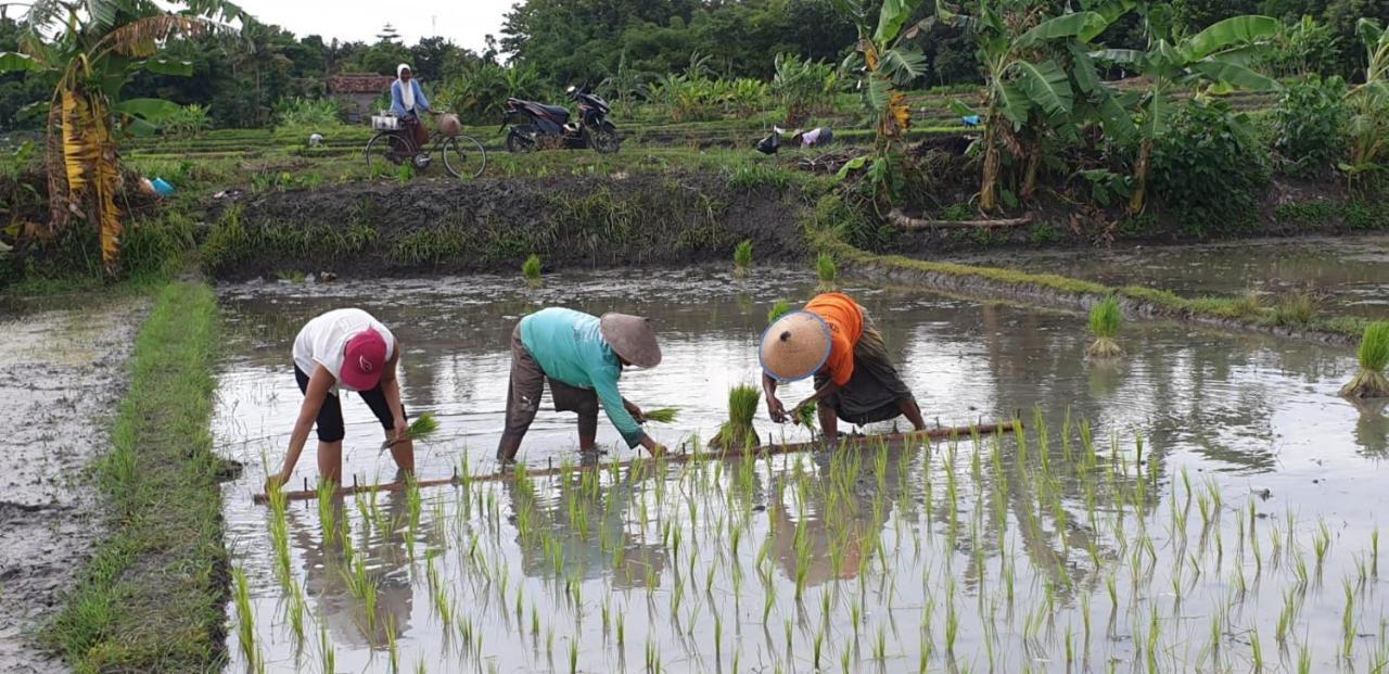 Villa Kayu Yogyakarta Dış mekan fotoğraf